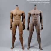 jiaou doll male body